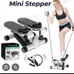 Mini stepper